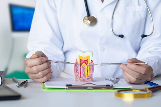 Best Weekend Emergency Dental Services in New Haven, IN